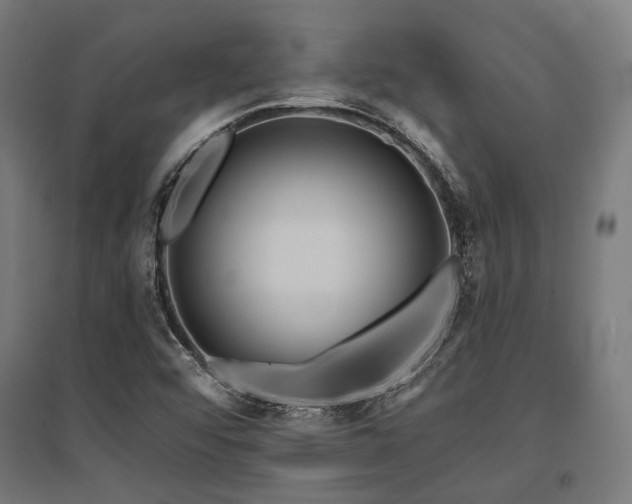 X0000096151456200801181151