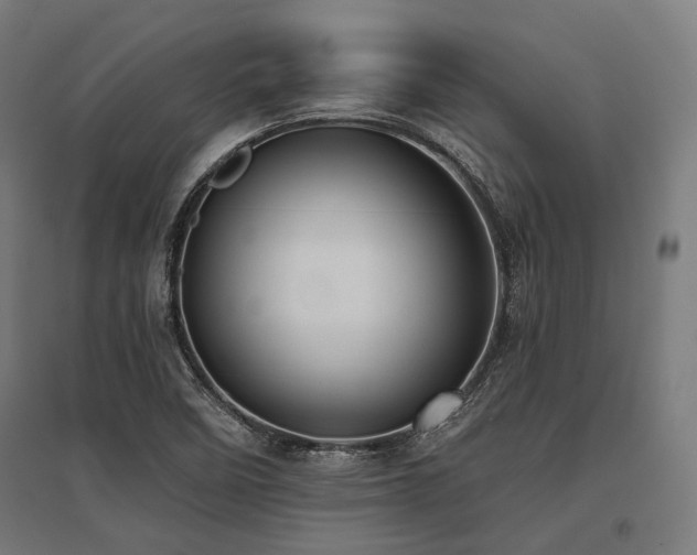 X0000096151458200801181151