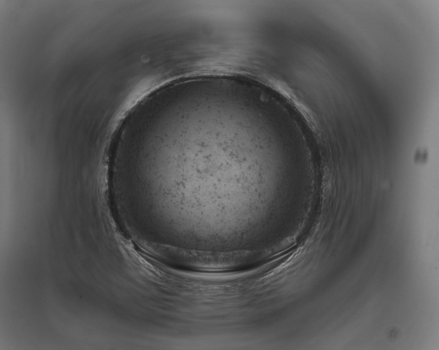 X0000096151459200801181151