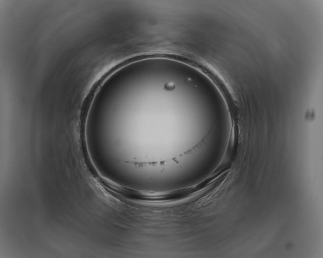 X0000096151460200801181151