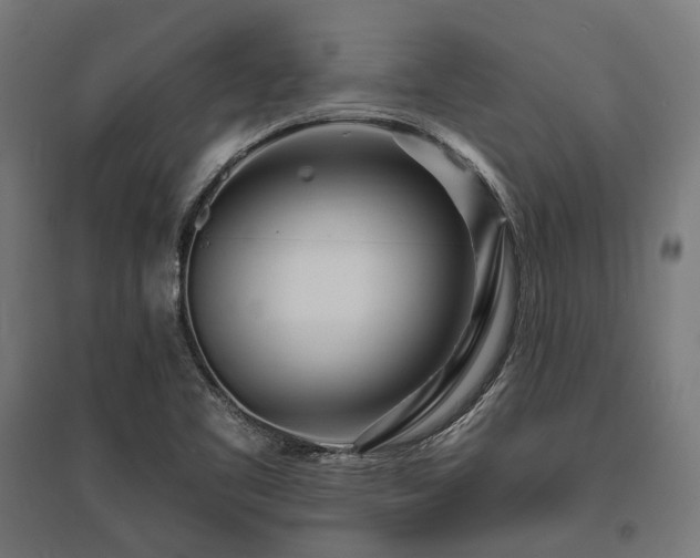 X0000096151461200801181151