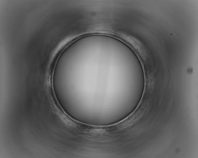 X0000096151462200801181151