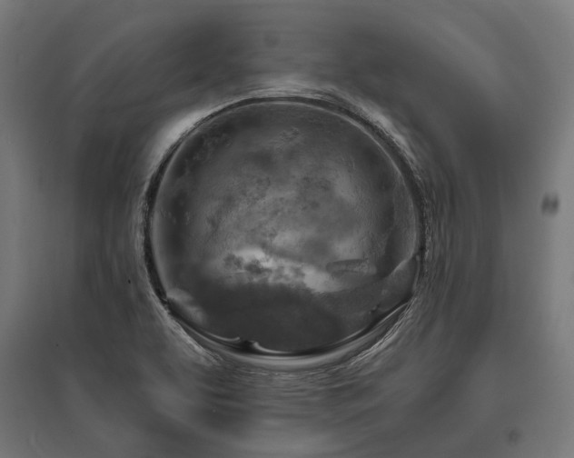 X0000096151463200801181151