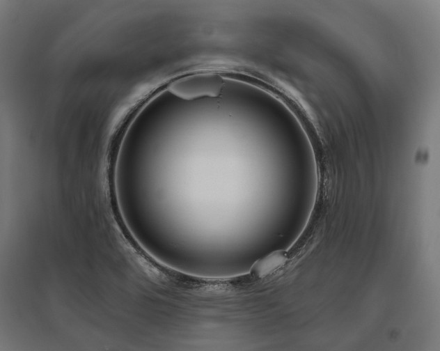 X0000096151464200801181151