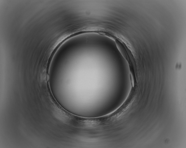 X0000096151465200801181151