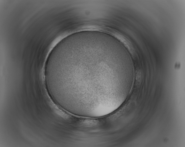 X0000096151466200801181151