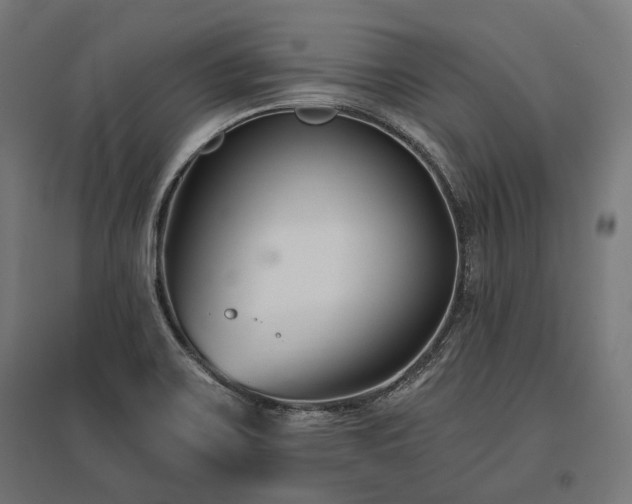X0000096151467200801181151