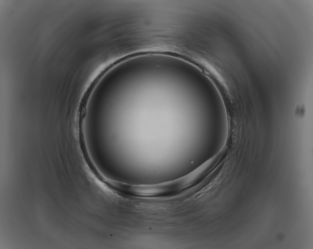X0000096151468200801181151