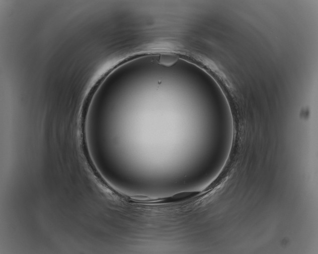 X0000096151469200801181151