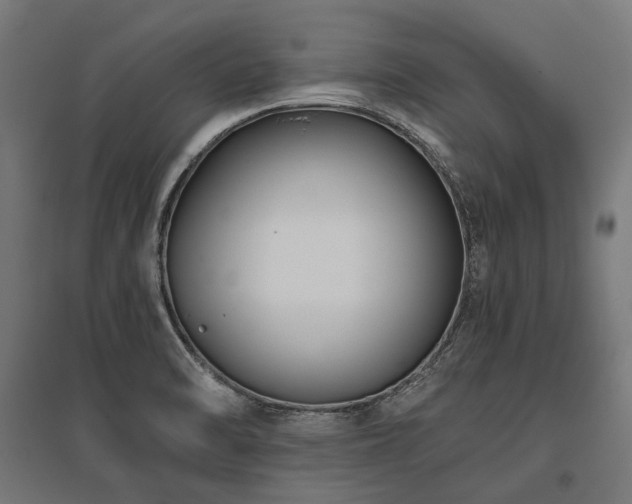 X0000096151470200801181151