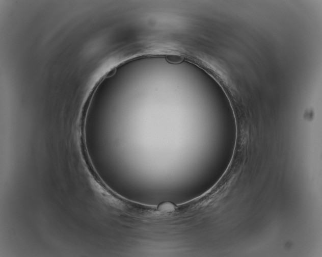 X0000096151471200801181151