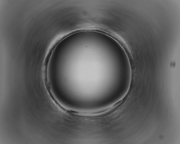 X0000096151472200801181151