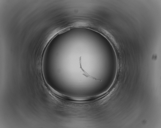 X0000096151473200801181151