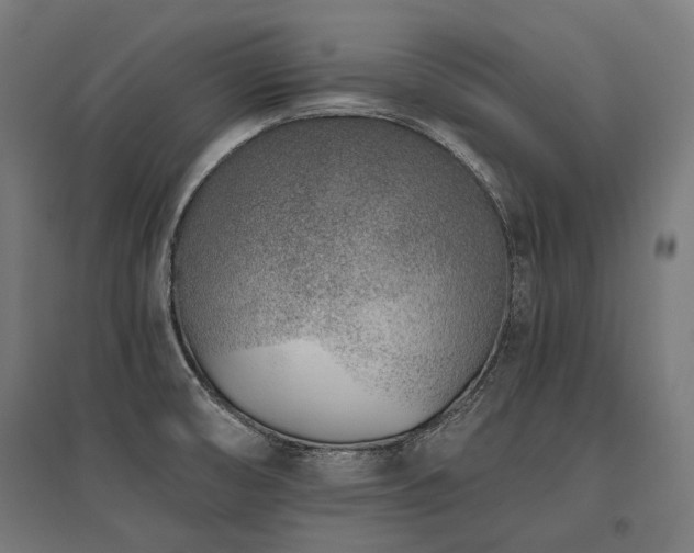 X0000096151474200801181151