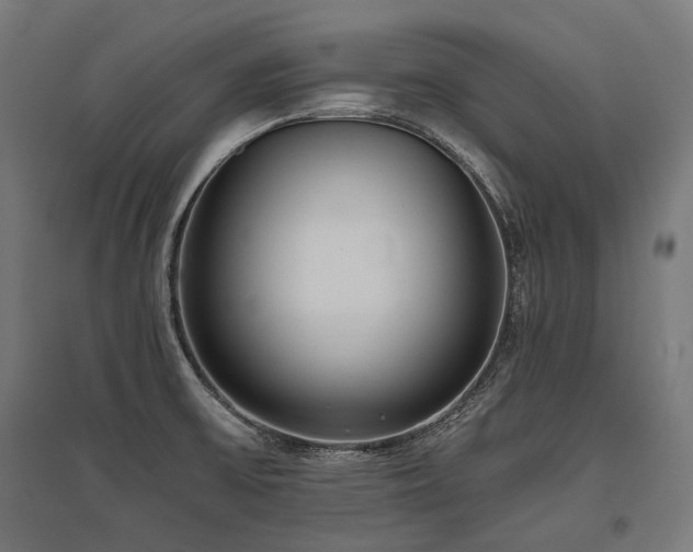 X0000096151475200801181151