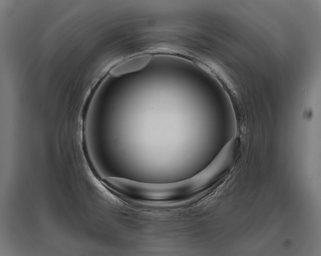 X0000096151476200801181151