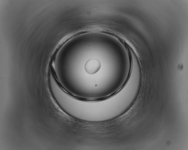 X0000096151477200801181151