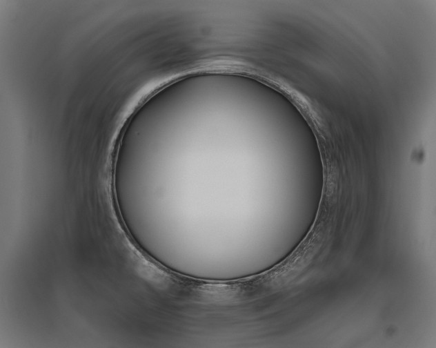 X0000096151478200801181151