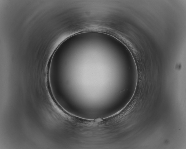 X0000096151479200801181151