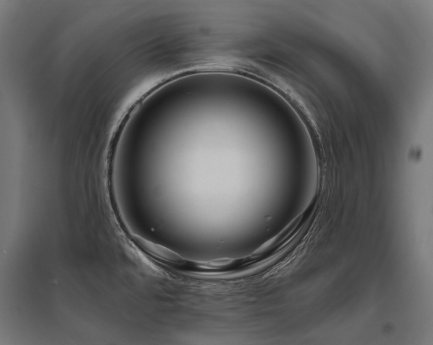 X0000096151480200801181151