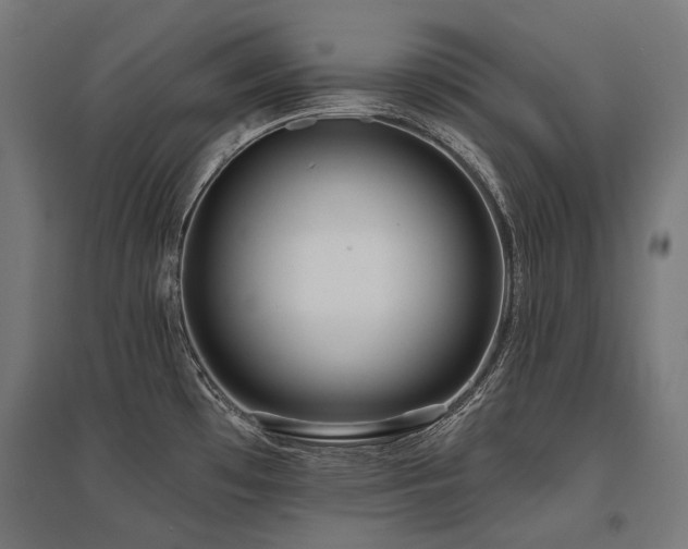 X0000096151481200801181151