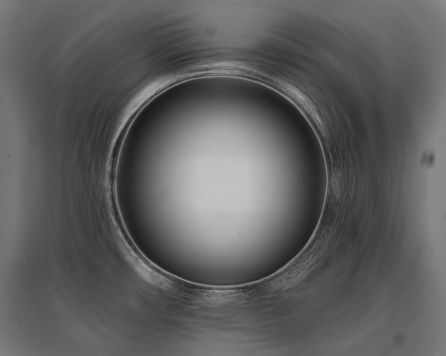 X0000096151482200801181151