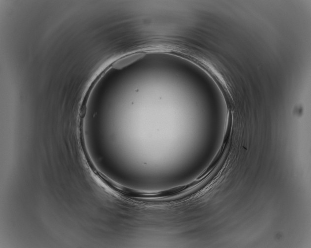 X0000096151484200801181151
