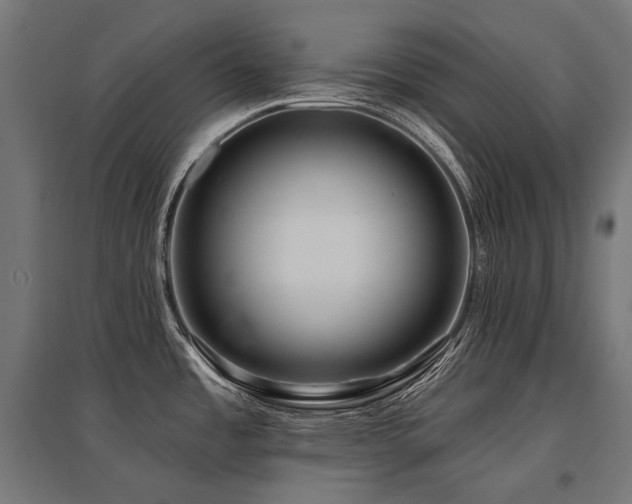 X0000096151485200801181151