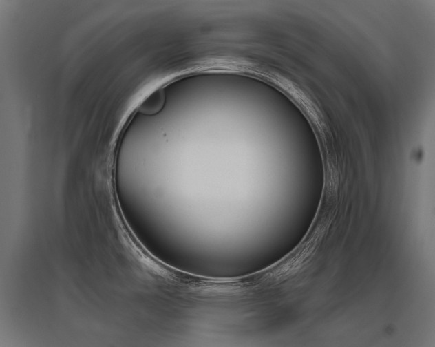 X0000096151486200801181151