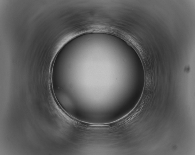 X0000096151487200801181151
