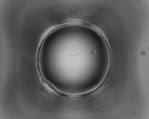X0000096151488200801181151