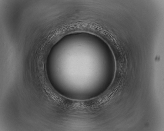X0000096151489200801181150