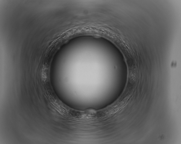 X0000096151490200801181150