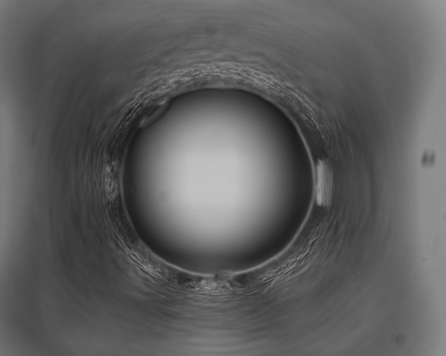 X0000096151491200801181150