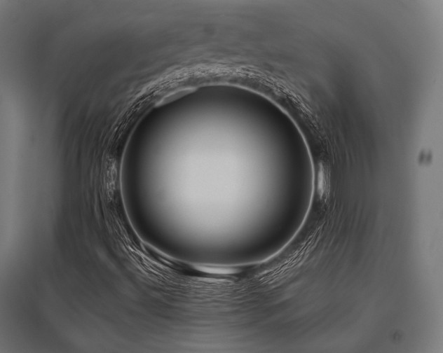 X0000096151492200801181150