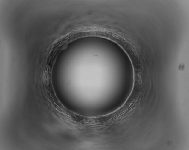 X0000096151493200801181150