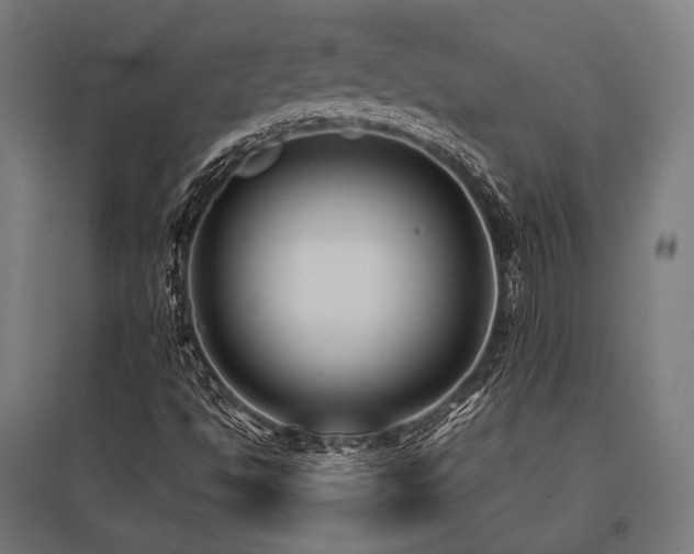 X0000096151494200801181150