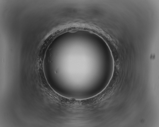 X0000096151495200801181150