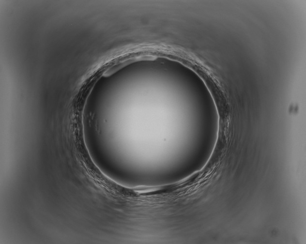 X0000096151496200801181150