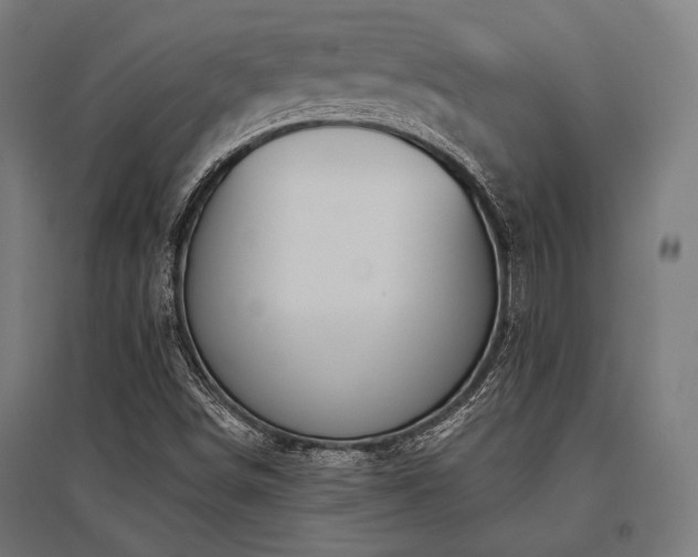 X0000096151498200801181150