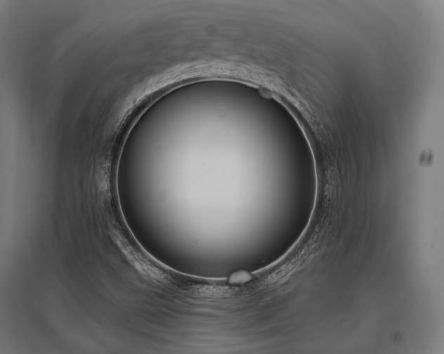 X0000096151499200801181150