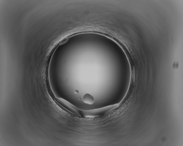X0000096151500200801181150