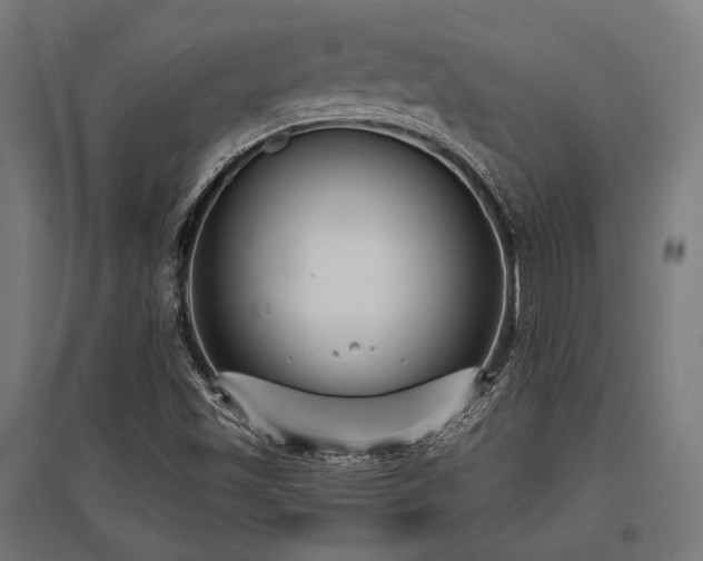 X0000096151501200801181150