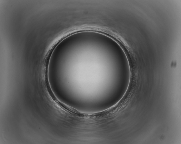 X0000096151504200801181150