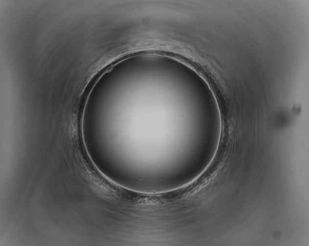 X0000096151505200801181150