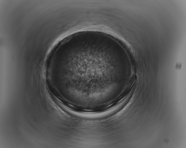 X0000096151506200801181150