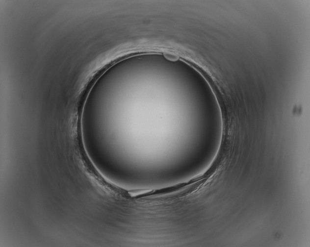 X0000096151507200801181150