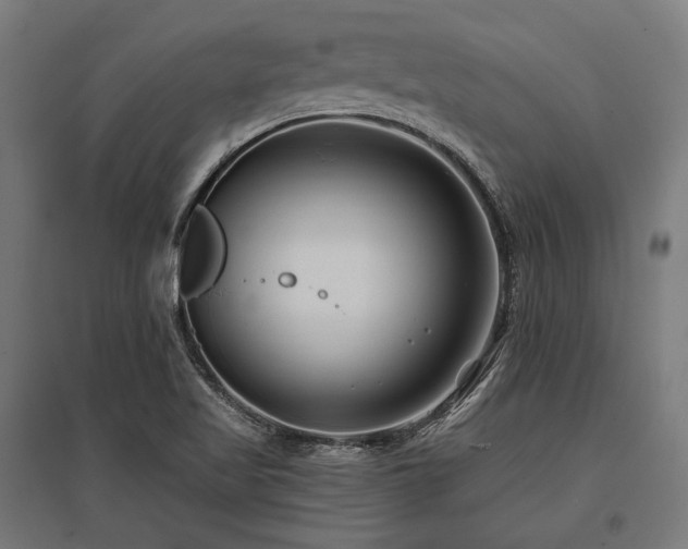 X0000096151509200801181150