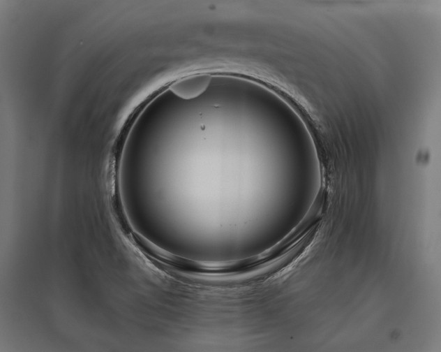 X0000096151510200801181150