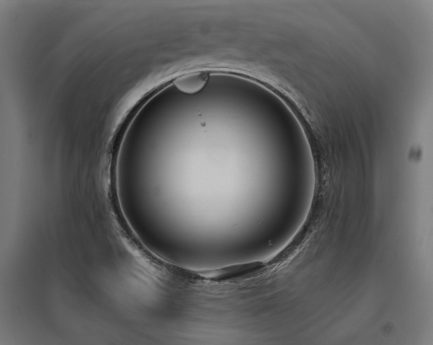 X0000096151511200801181150